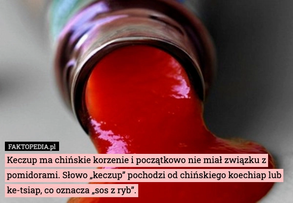 
    Keczup ma chińskie korzenie i początkowo nie miał związku z pomidorami.