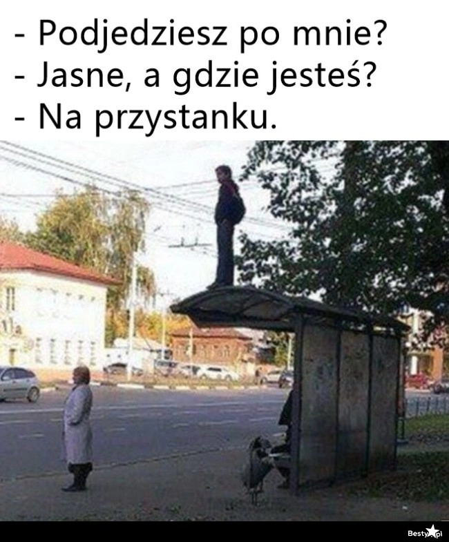 
    Dosłownie 