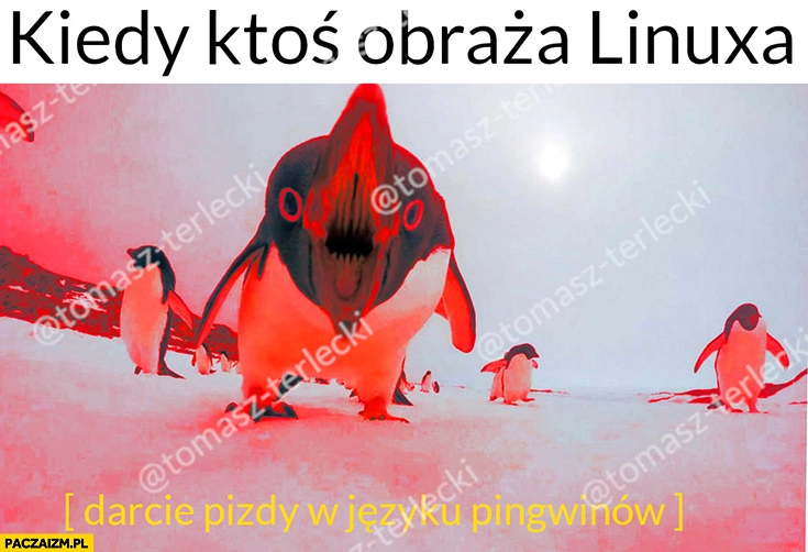
    Kiedy ktoś obraza Linuksa darcie mordy w języku pingwinów