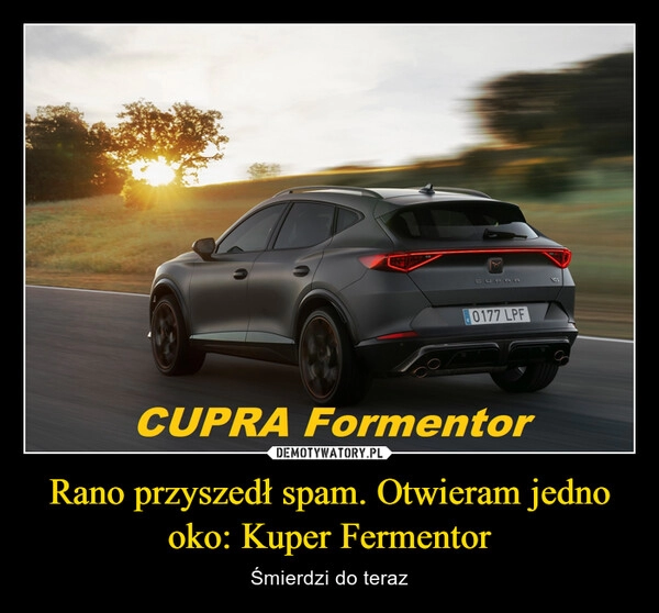 
    Rano przyszedł spam. Otwieram jedno oko: Kuper Fermentor