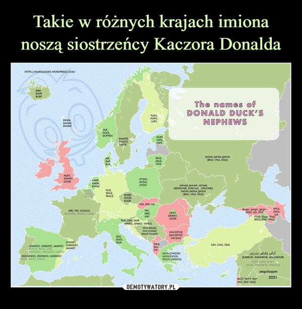 
    Takie w różnych krajach imiona noszą siostrzeńcy Kaczora Donalda