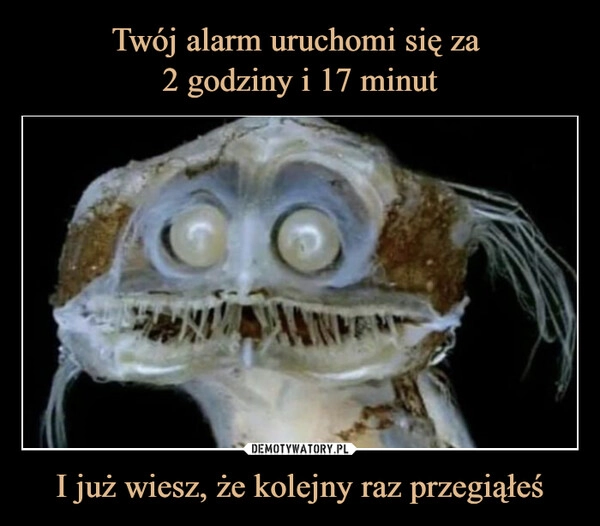 
    Twój alarm uruchomi się za 
2 godziny i 17 minut I już wiesz, że kolejny raz przegiąłeś