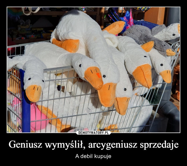 
    Geniusz wymyślił, arcygeniusz sprzedaje