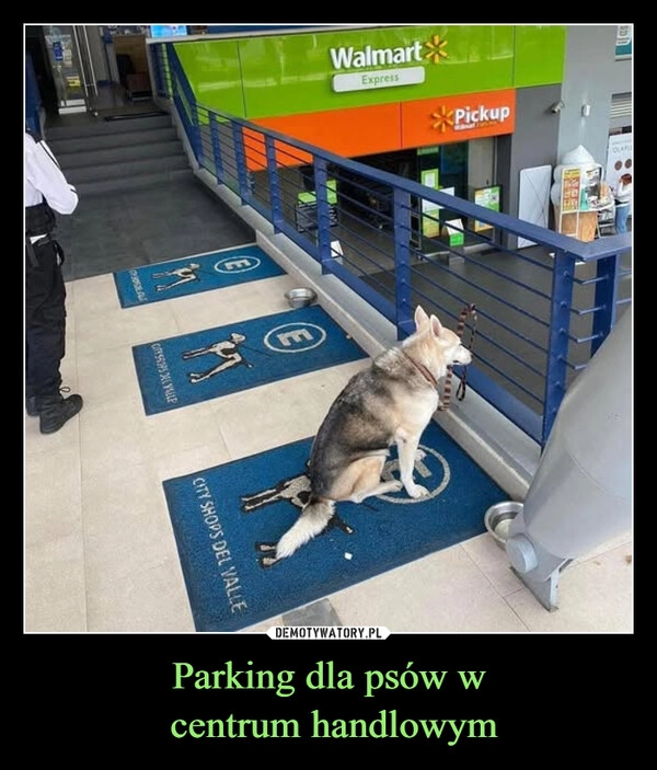 
    Parking dla psów w
 centrum handlowym