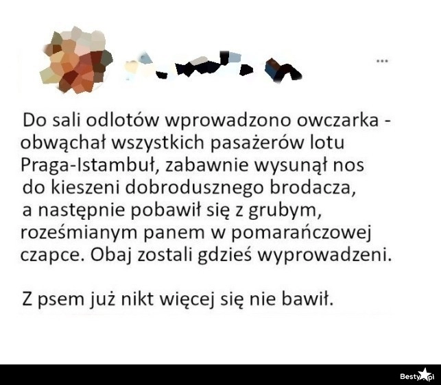 
    Pies w sali odlotów 