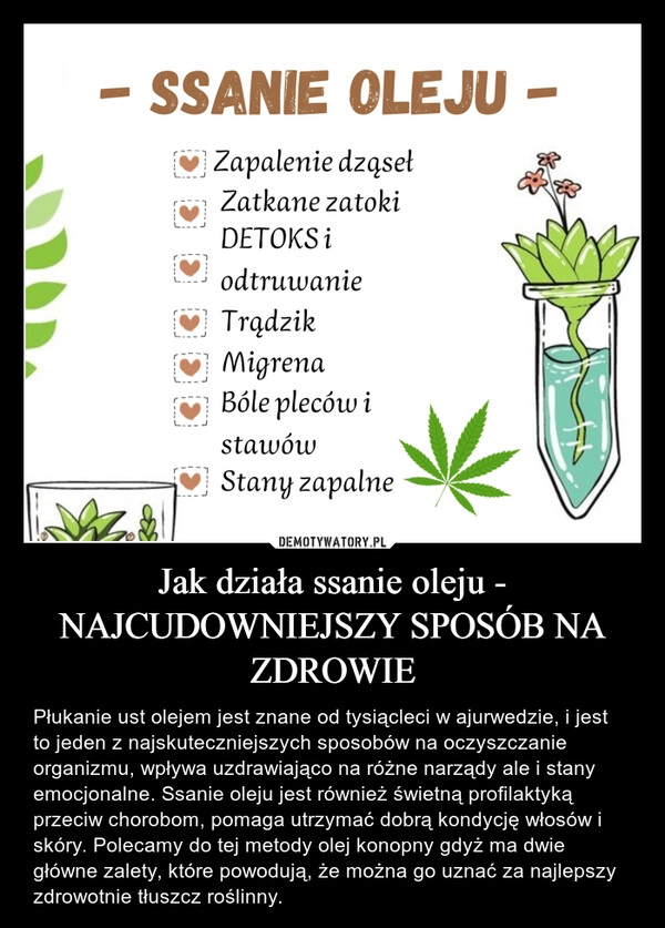 
    Jak działa ssanie oleju - NAJCUDOWNIEJSZY SPOSÓB NA ZDROWIE