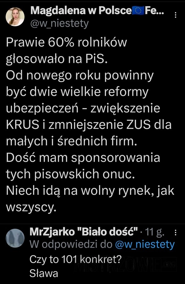 
    Wybory do europarlamentu