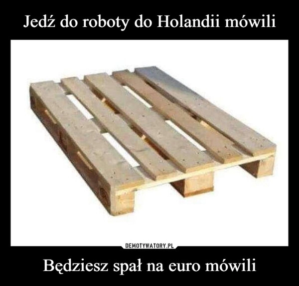 
    Jedź do roboty do Holandii mówili Będziesz spał na euro mówili