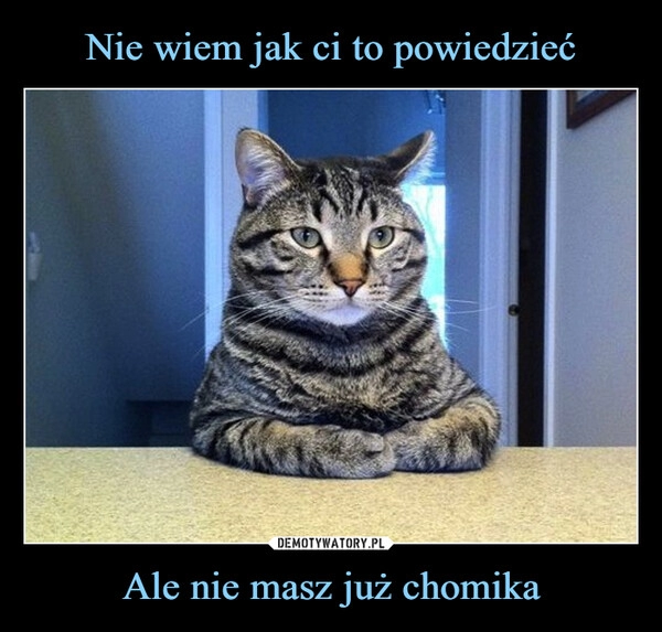 
    Nie wiem jak ci to powiedzieć Ale nie masz już chomika