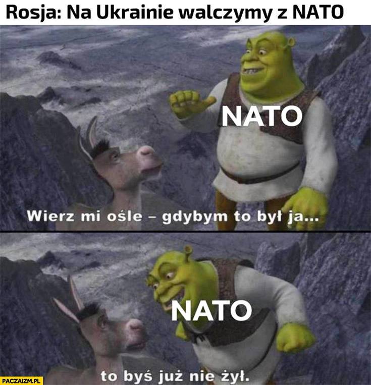 
    Rosja: na Ukrainie walczymy z NATO, Shrek: wierz mi ośle gdybym to był ja to byś już nie żył