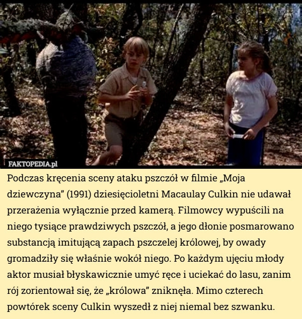 
    Podczas kręcenia sceny ataku pszczół w filmie „Moja dziewczyna” (1991) dziesięcioletni...