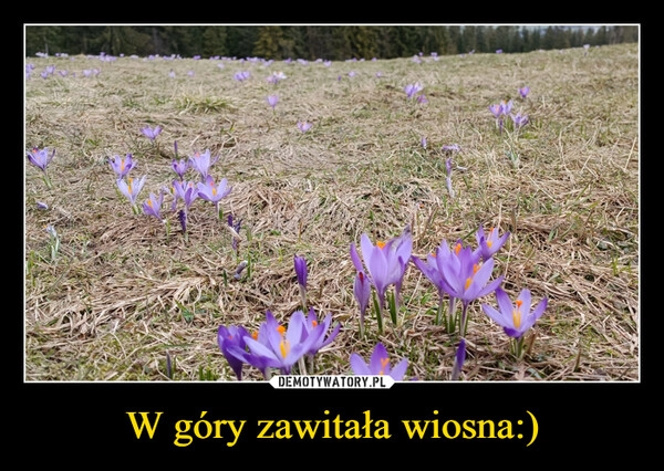 
    W góry zawitała wiosna:)