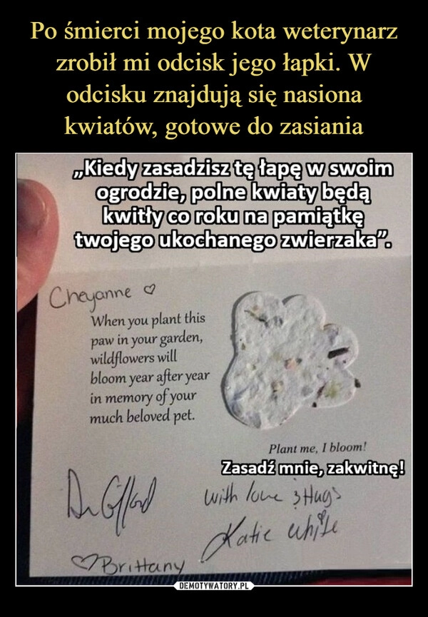 
    Po śmierci mojego kota weterynarz zrobił mi odcisk jego łapki. W odcisku znajdują się nasiona kwiatów, gotowe do zasiania