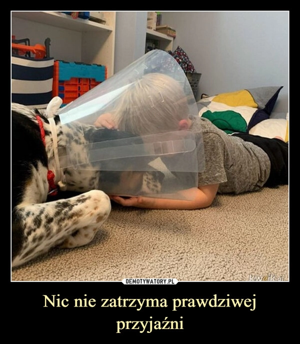 
    Nic nie zatrzyma prawdziwej przyjaźni