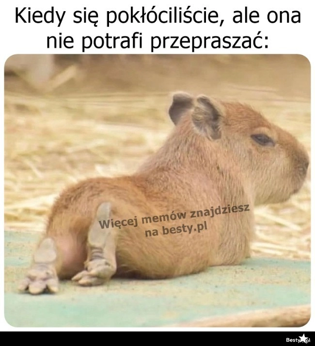 
    Chyba chce się pogodzić 