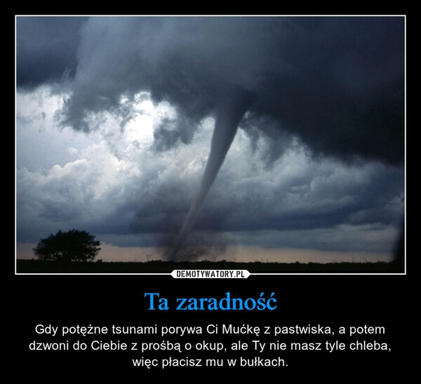 
    Ta zaradność 