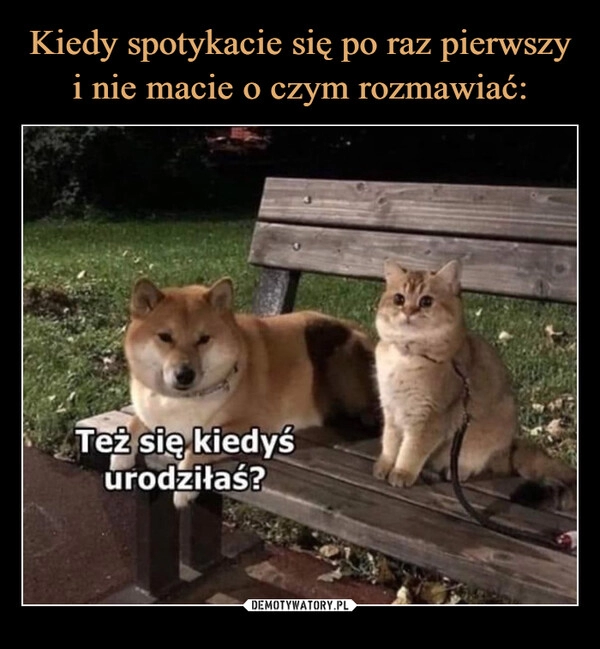 
    Kiedy spotykacie się po raz pierwszy
i nie macie o czym rozmawiać: