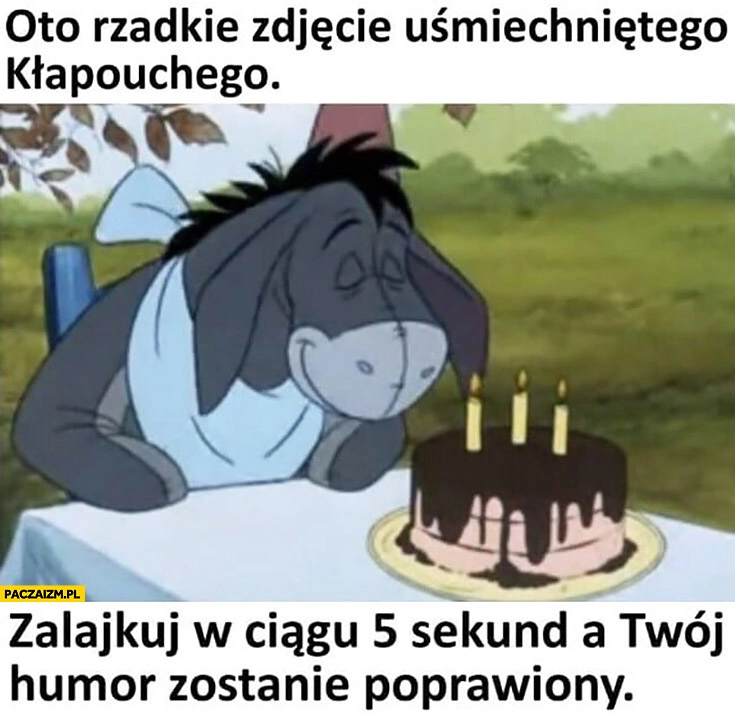 
    Oto rzadkie zdjęcie uśmiechniętego Kłapołuchego zalajkuj w ciągu 5 sekund a Twój humor zostanie poprawiony
