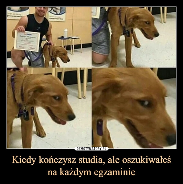 
    Kiedy kończysz studia, ale oszukiwałeś na każdym egzaminie