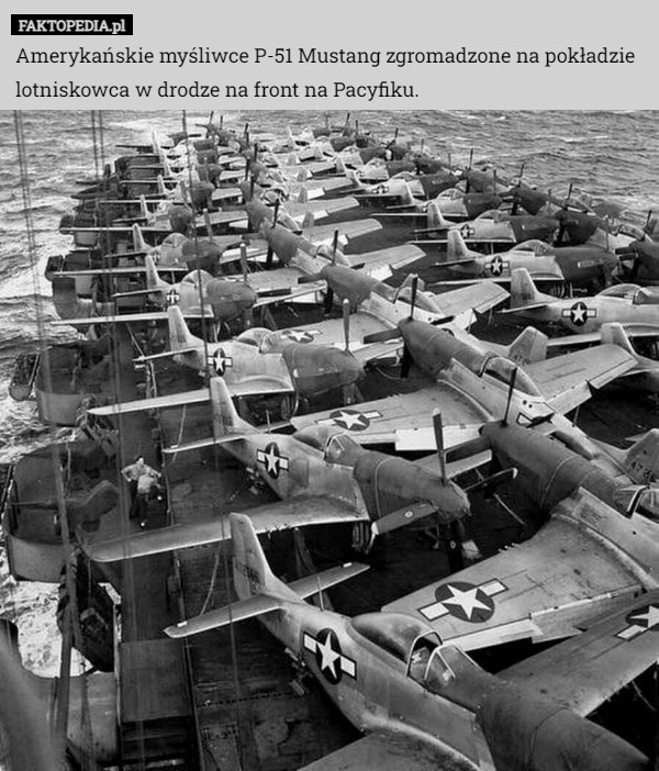 
    Amerykańskie myśliwce P-51 Mustang zgromadzone na pokładzie lotniskowca