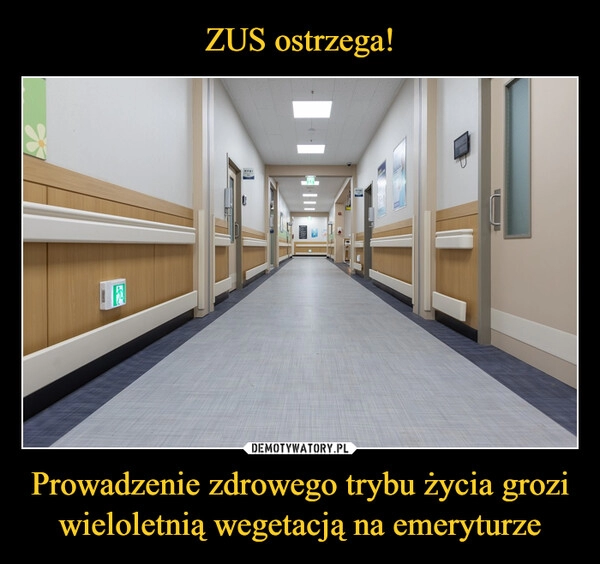 
    ZUS ostrzega! Prowadzenie zdrowego trybu życia grozi wieloletnią wegetacją na emeryturze