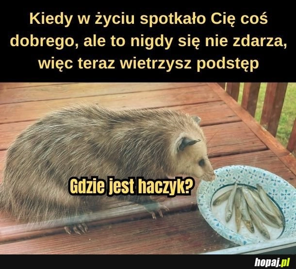 
    Podstęp. 