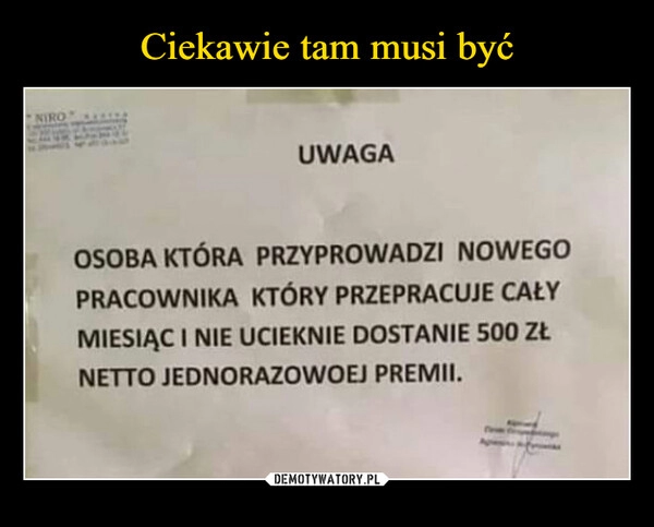 
    Ciekawie tam musi być