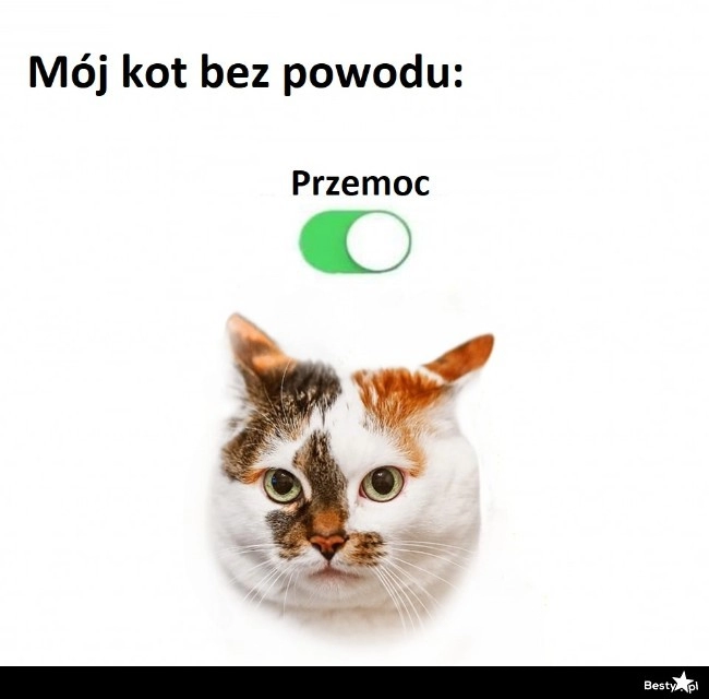 
    Tryb przemocy włączony 