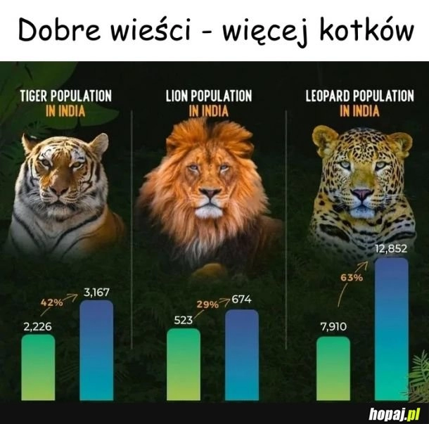 
    Jest lepiej