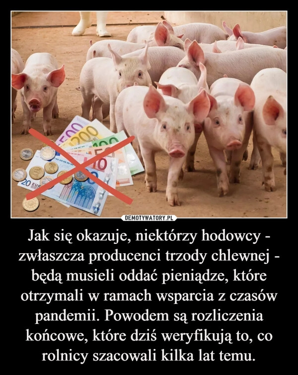 
    Jak się okazuje, niektórzy hodowcy - zwłaszcza producenci trzody chlewnej - będą musieli oddać pieniądze, które otrzymali w ramach wsparcia z czasów pandemii. Powodem są rozliczenia końcowe, które dziś weryfikują to, co rolnicy szacowali kilka lat temu.