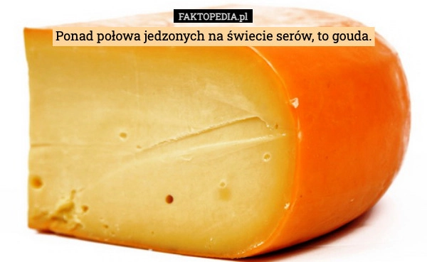 
    Ponad połowa jedzonych na świecie serów, to gouda.