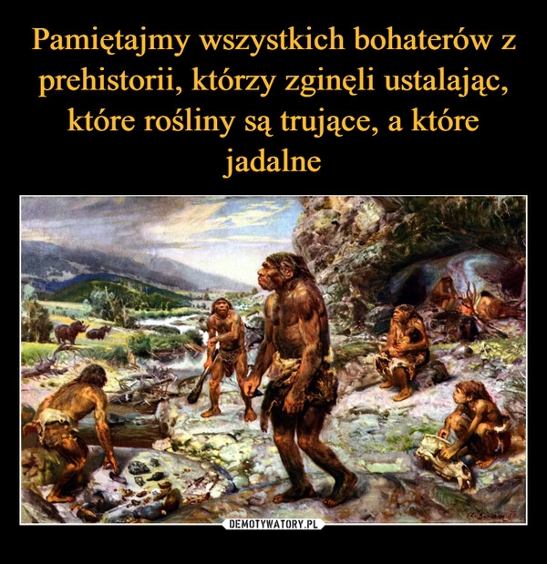 
    Pamiętajmy wszystkich bohaterów z prehistorii, którzy zginęli ustalając, które rośliny są trujące, a które jadalne 