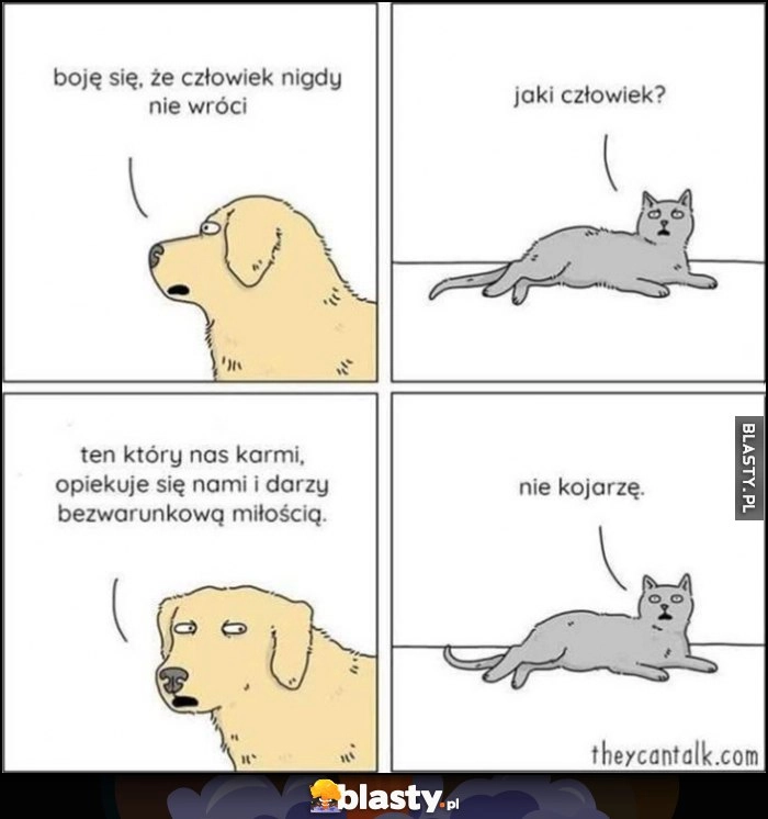 
    Pies: boję się że człowiek nigdy nie wróci. Kot: jaki człowiek? Pies: ten który nas karmi, kot: nie kojarzę