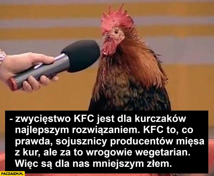 Kura zwycięstwo KFC jest dla kurczaków najlepszym rozwiązaniem to wrogowie wegetarian wiec są dla nas mniejszym złem