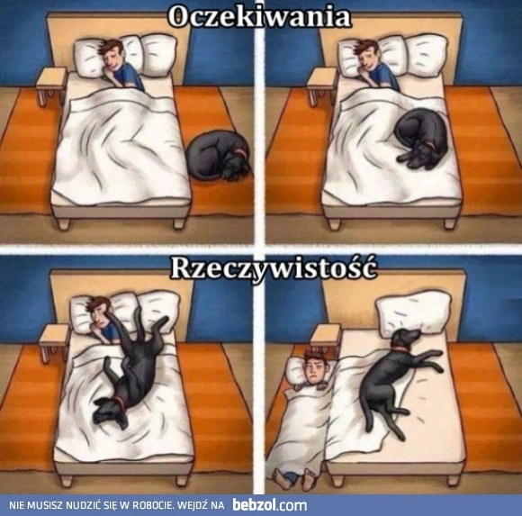 
    Oczekiwania vs rzeczywistość 