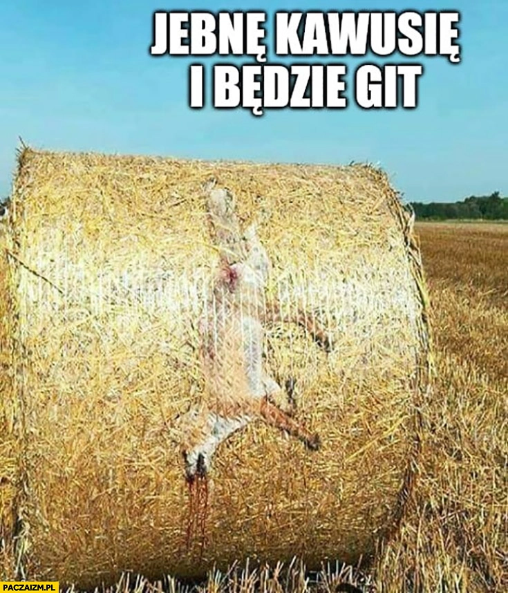 
    Lis rozwalcowany jebnę kawusie i będzie git