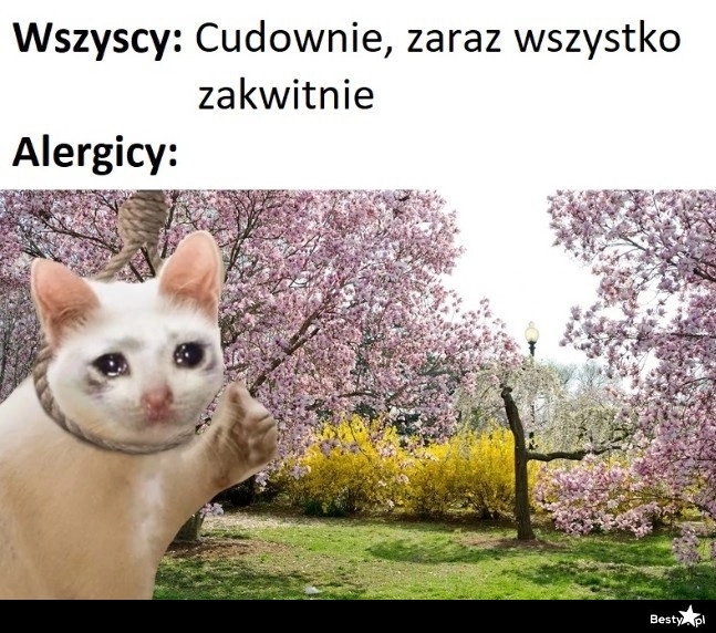 
    Wiosna i alergicy 