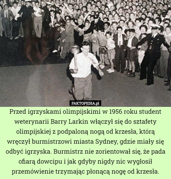 
    Przed igrzyskami olimpijskimi w 1956 roku student weterynarii Barry Larkin