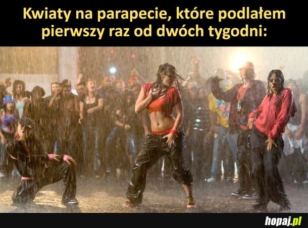 
    W końcu woda