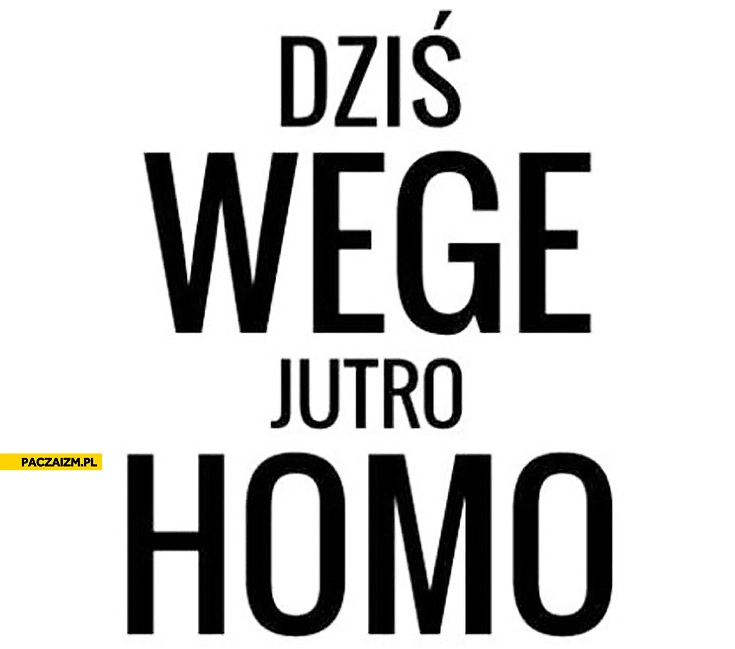
    Dziś wege jutro homo
