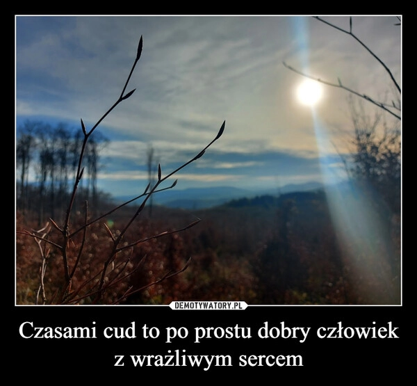 
    Czasami cud to po prostu dobry człowiek z wrażliwym sercem