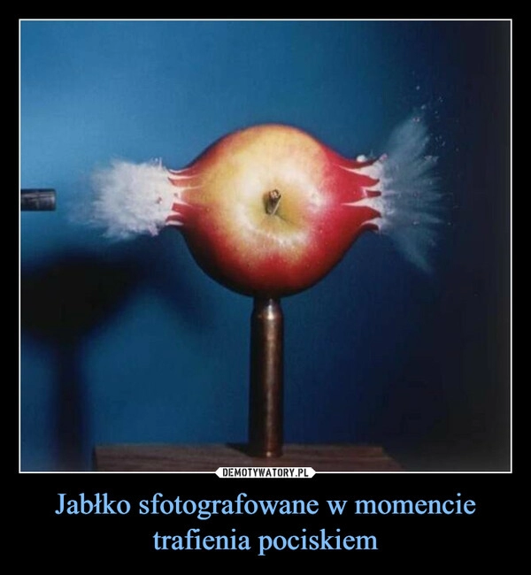 
    
Jabłko sfotografowane w momencie trafienia pociskiem 