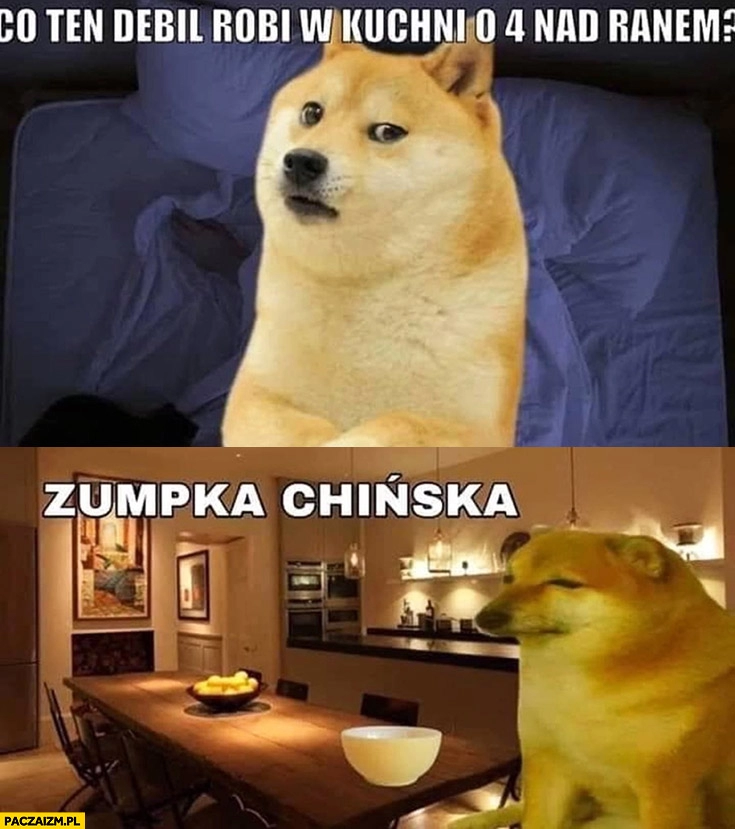 
    Pies doge co ten debil robi w kuchni o 4 nad ranem zupka chińska