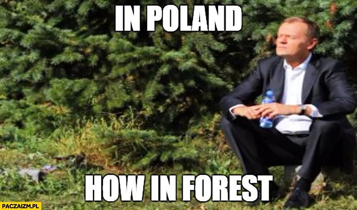 
    In Poland how in forest. Angielski z Tuskiem w Polsce jak w lesie