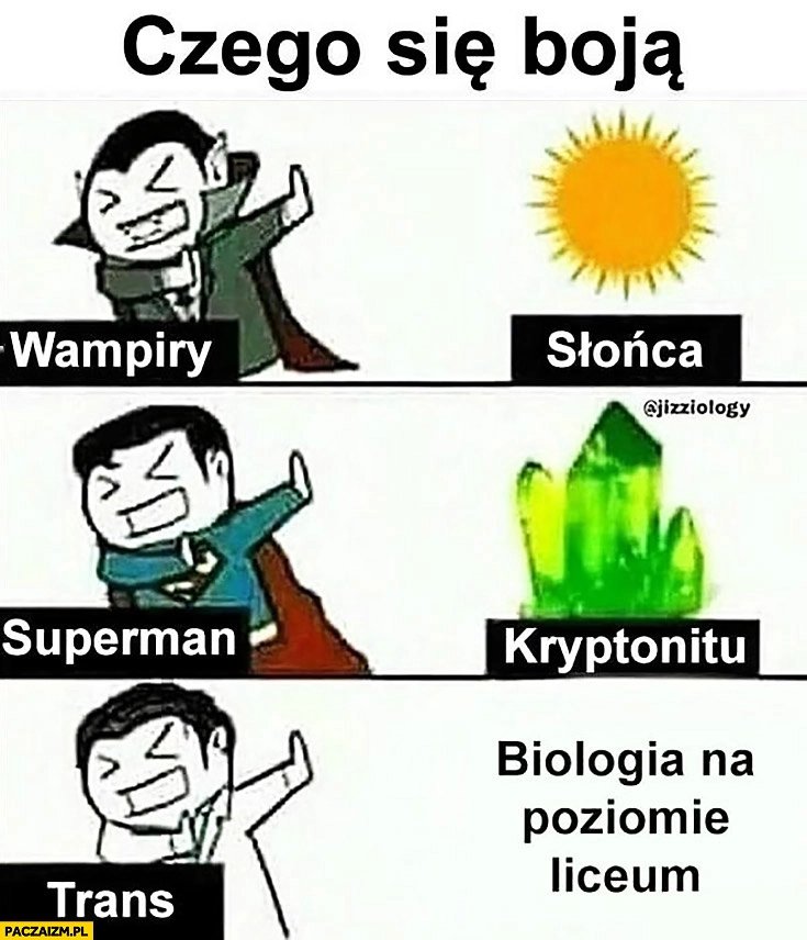 
    Czego się boją wampiry? Słońca. Superman? Kryptonitu. Trans? Biologii na poziomie liceum