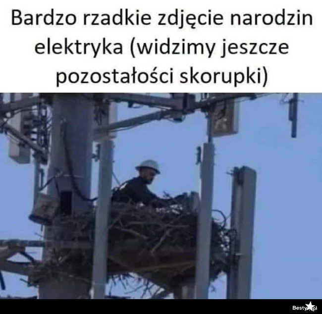 
    Rzadkie zdjęcie 