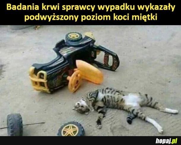 
    Kraksa