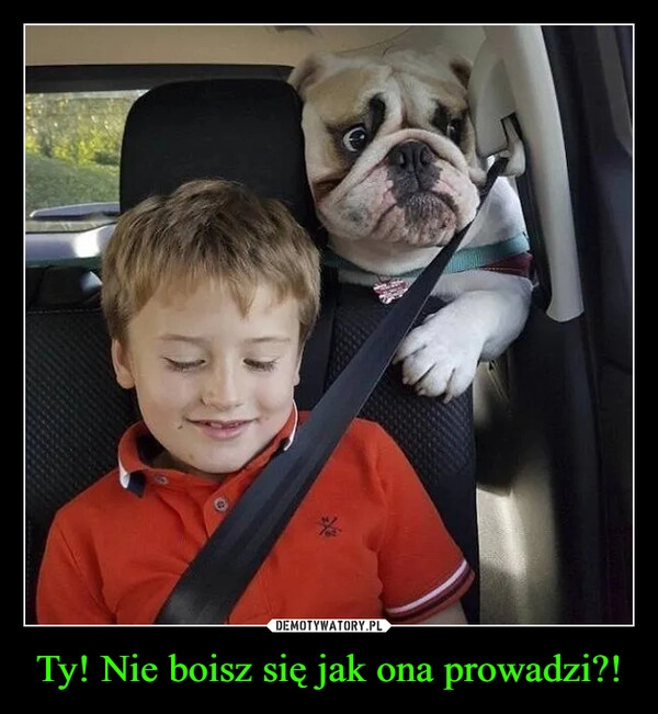 
    Ty! Nie boisz się jak ona prowadzi?!