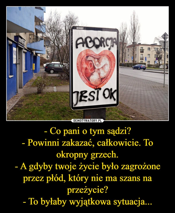 
    - Co pani o tym sądzi?
- Powinni zakazać, całkowicie. To okropny grzech.
- A gdyby twoje życie było zagrożone przez płód, który nie ma szans na przeżycie?
- To byłaby wyjątkowa sytuacja...