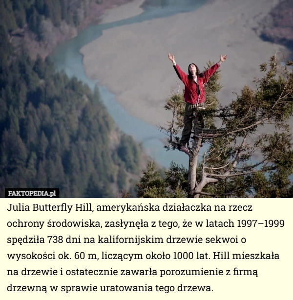 
    Julia Butterfly Hill, amerykańska działaczka na rzecz ochrony środowiska...